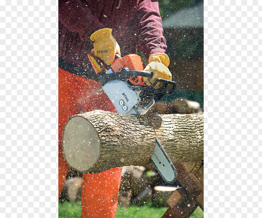 New Company Ad Tree Stihl MS 170 Chainsaw PNG