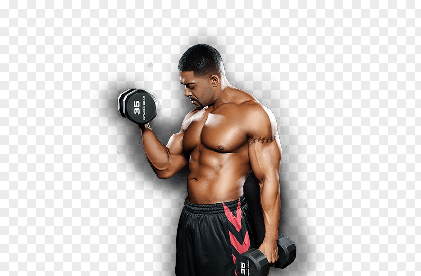 Bodybuild Weight Training Medicine Balls Professional Wrestler Lawyer PNG