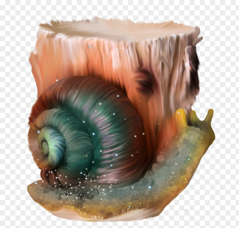 Hand-painted Cartoon Snail Showcase Escargot Orthogastropoda PNG