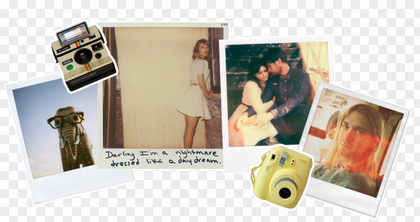 Polaroid Taylor Swift Product Design Picture Frames Elephants PNG