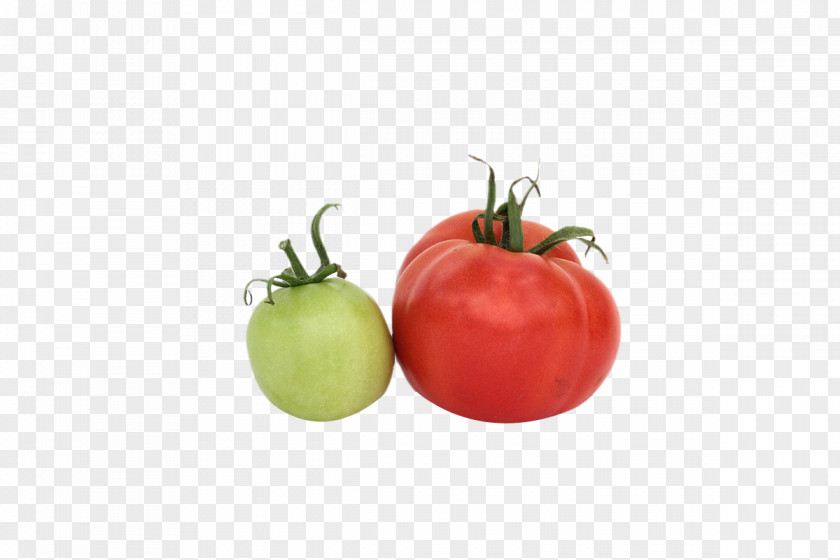 Red Tomatoes Tomato Vegetarian Cuisine Food PNG