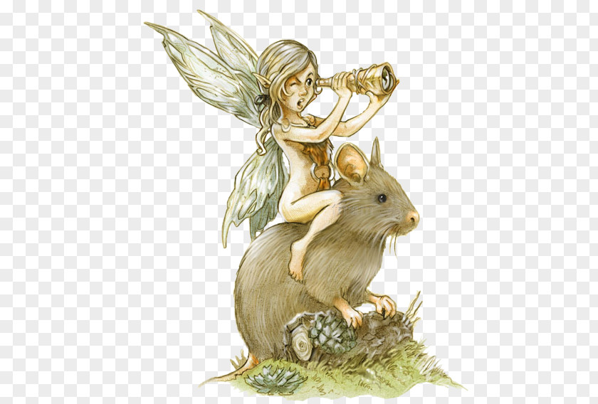 Ride Rabbit Wizard Fairy Illustrator Drawing Painter Illustration PNG
