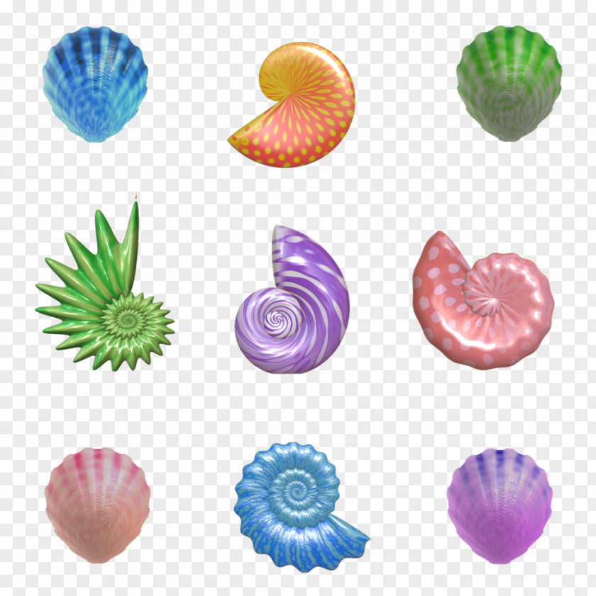 Seashells Seashell Nautilidae Gastropod Shell PNG