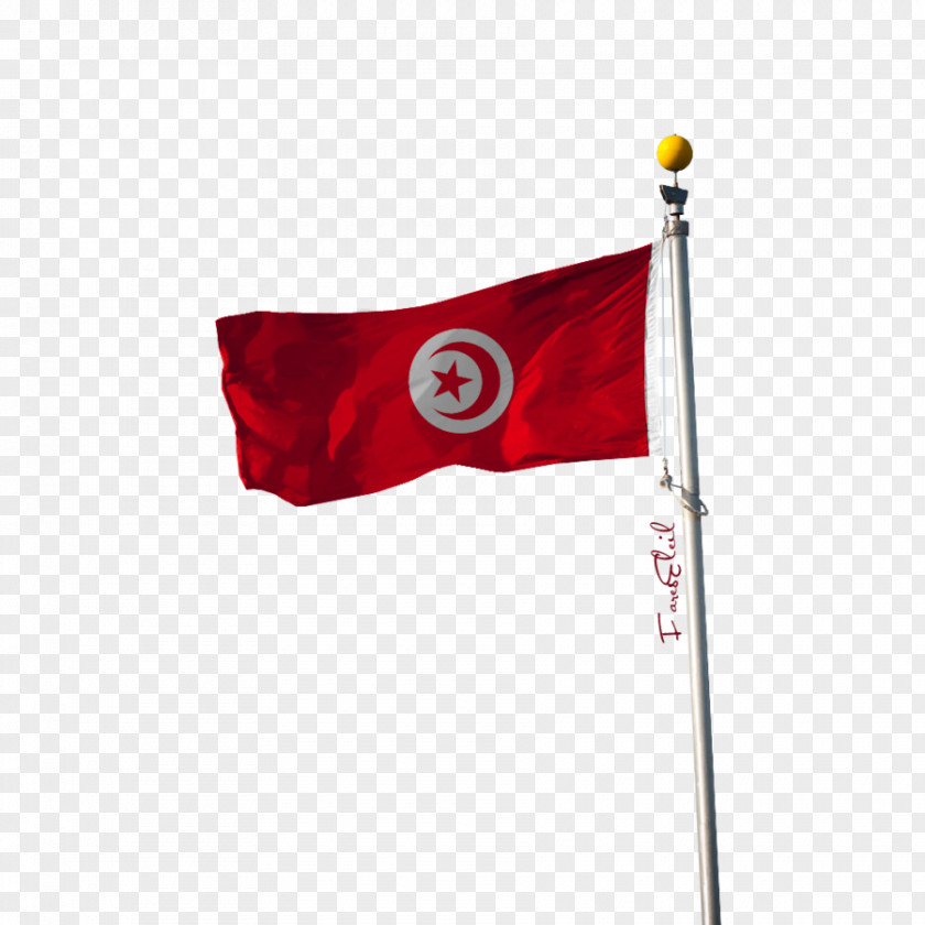 Flag Of Tunisia DeviantArt PNG