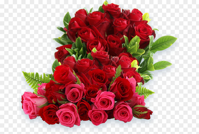 Flower Garden Roses Wish PNG