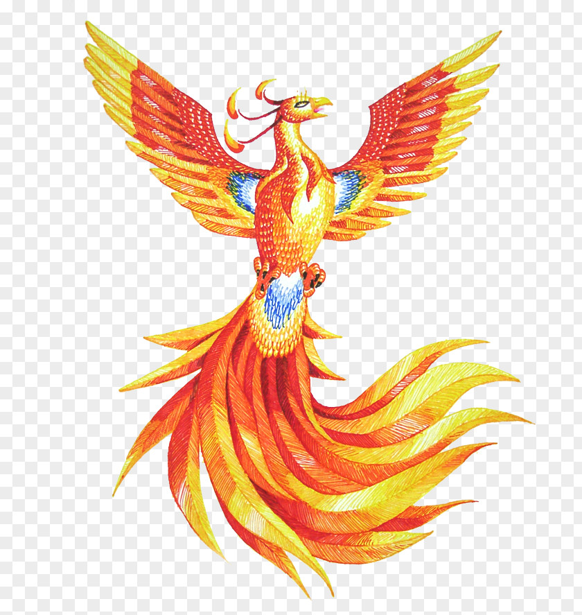 Phoenix HD Drawing Clip Art PNG