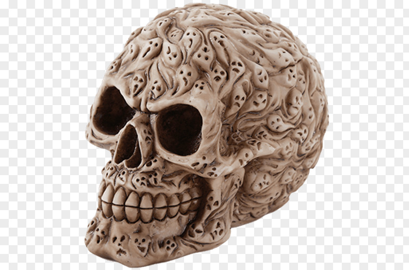 Skull Human Calavera Skeleton Bone PNG