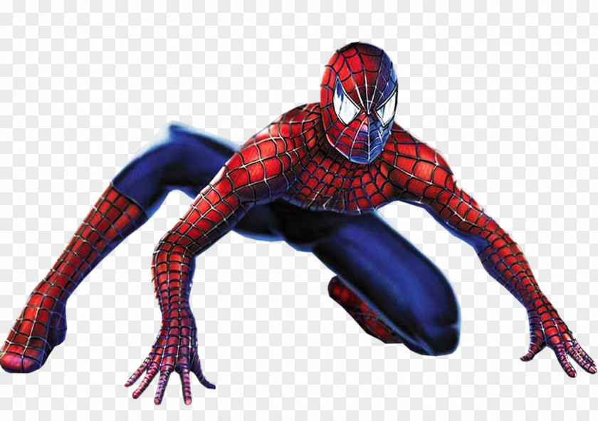 Spider-man Spider-Man Film Series Drawing Pencil PNG