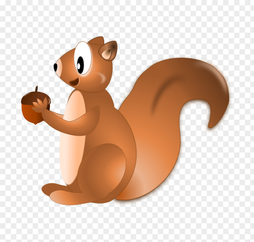 Squirrel Beaver Cat Mammal Tail PNG