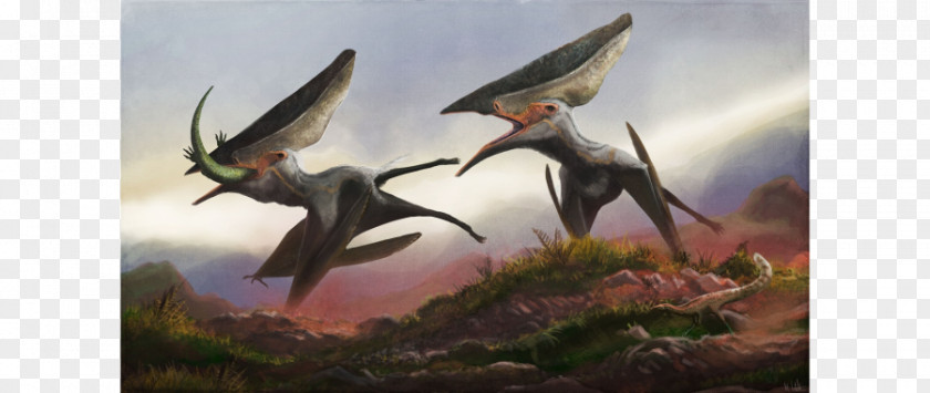 Dinosaur Thalassodromeus Tapejara Banguela Oberlii Lonchodectes Pterodactyls PNG
