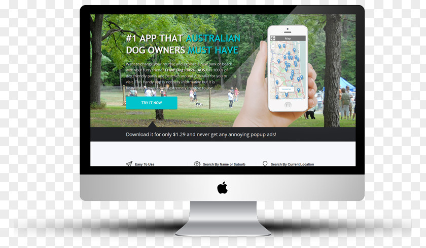 Dog Park Web Design Graphic Page PNG