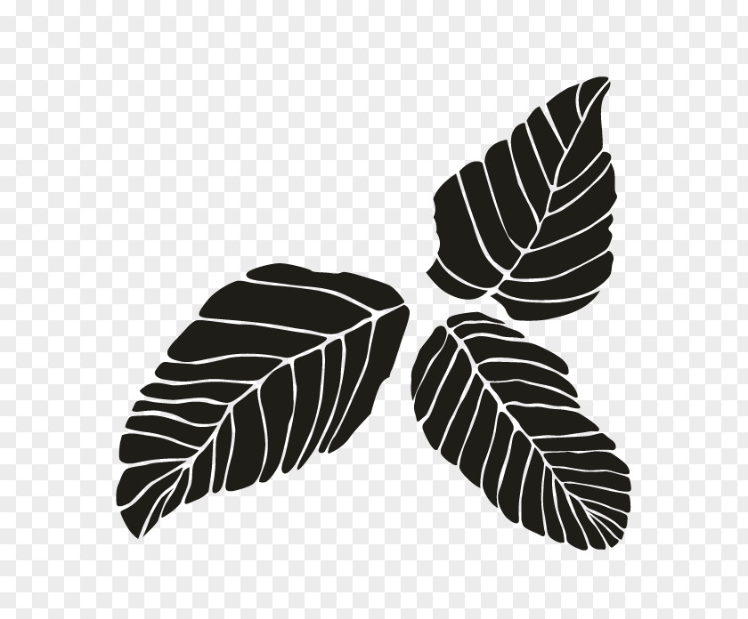 Leaf White PNG