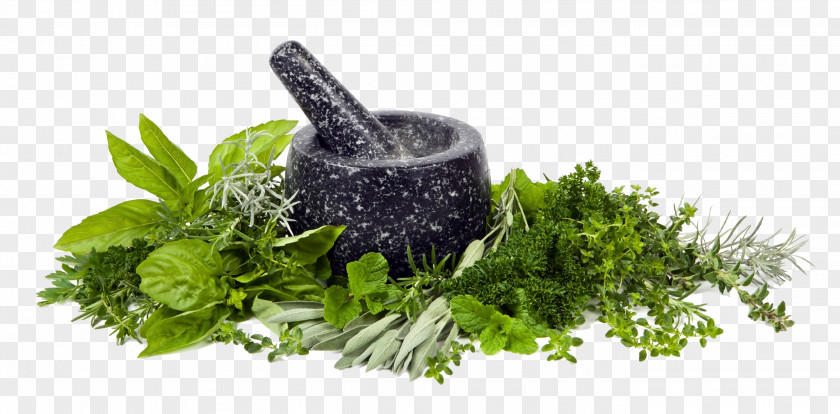 Oregano Mortar And Pestle Herb Stock Photography Spice Food PNG