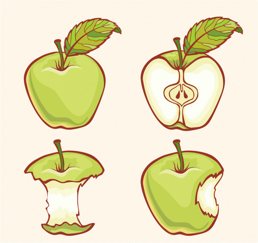 Painted Green Apple Adobe Illustrator Illustration PNG