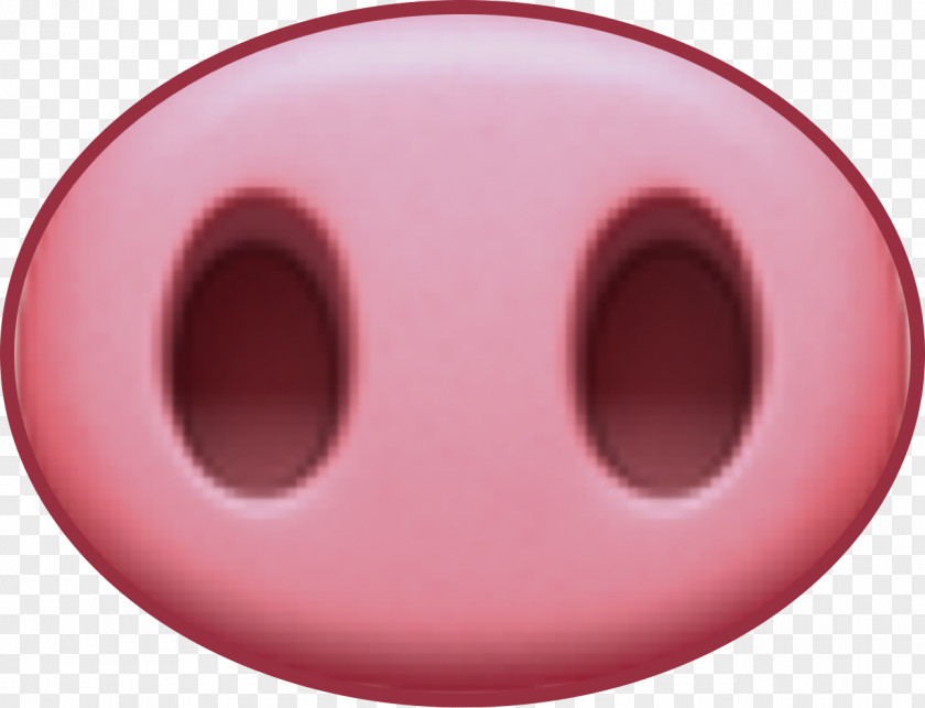 Pig Domestic Nose Drawing Snout PNG