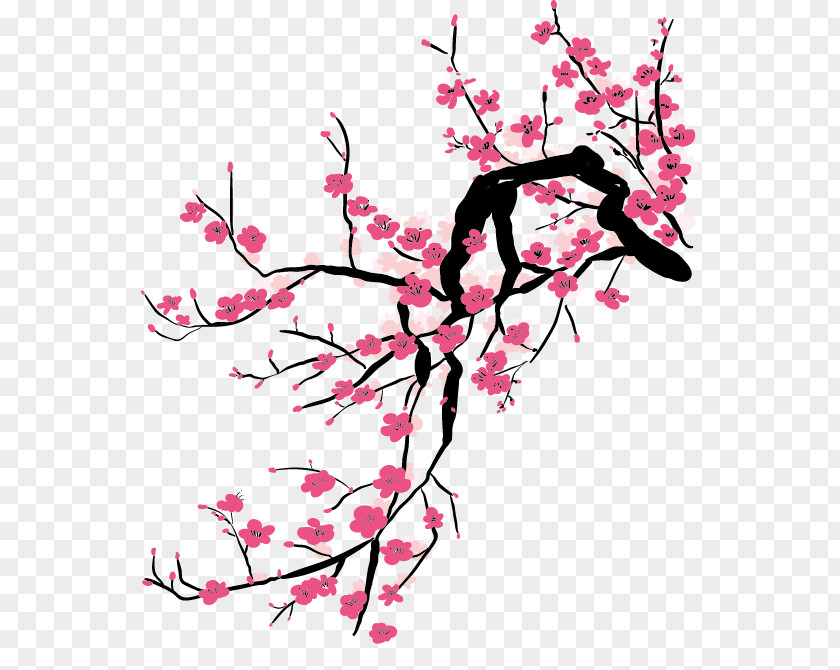 Spring Plum China Cherry Blossom Painting PNG