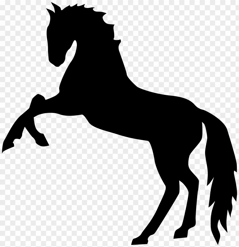 Standing Horse Silhouette Transparent Clip Art Image Mustang Stallion PNG