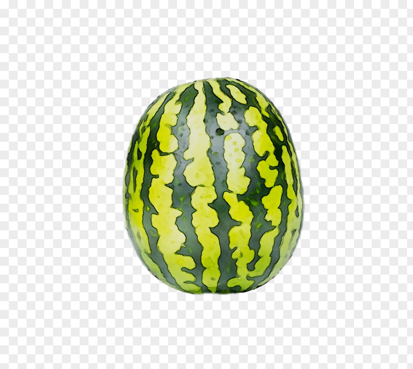 Watermelon Winter Squash PNG