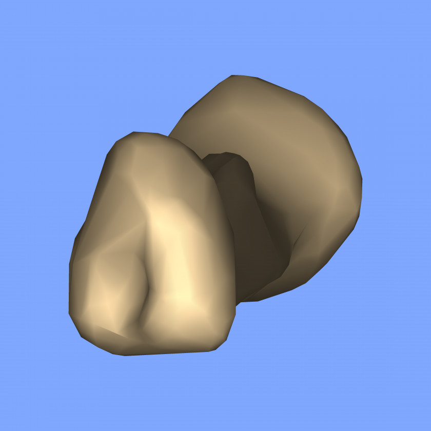 Close Up Ear Jaw Angle PNG