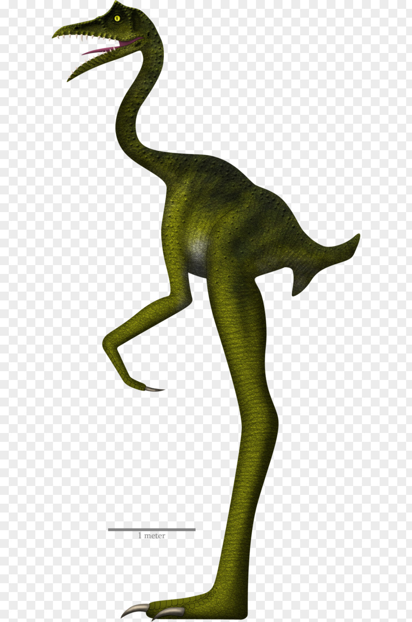 Dinosaur Velociraptor Coelurosauria Anchiornis Tyrannosaurus Guanlong PNG