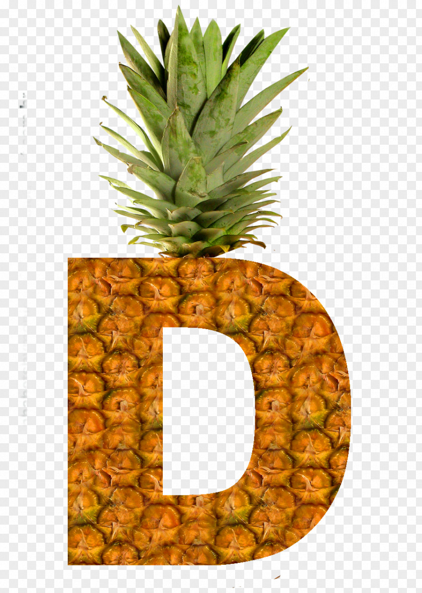 Pineapple Succade Fruit Portable Network Graphics Buddha's Hand PNG