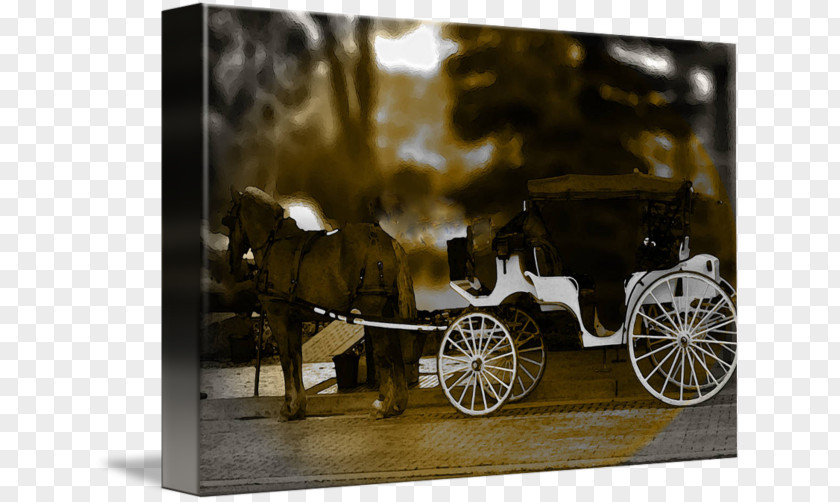 Car Motor Vehicle Horse And Buggy Wagon PNG