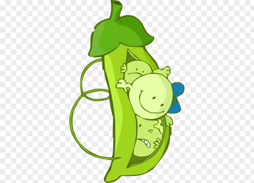 Cute Cartoon Baby Peas Soybean Pea PNG