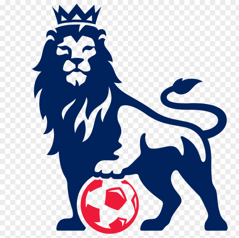 Football Leicester City F.C. 2016–17 Premier League 2014–15 Manchester Sports PNG