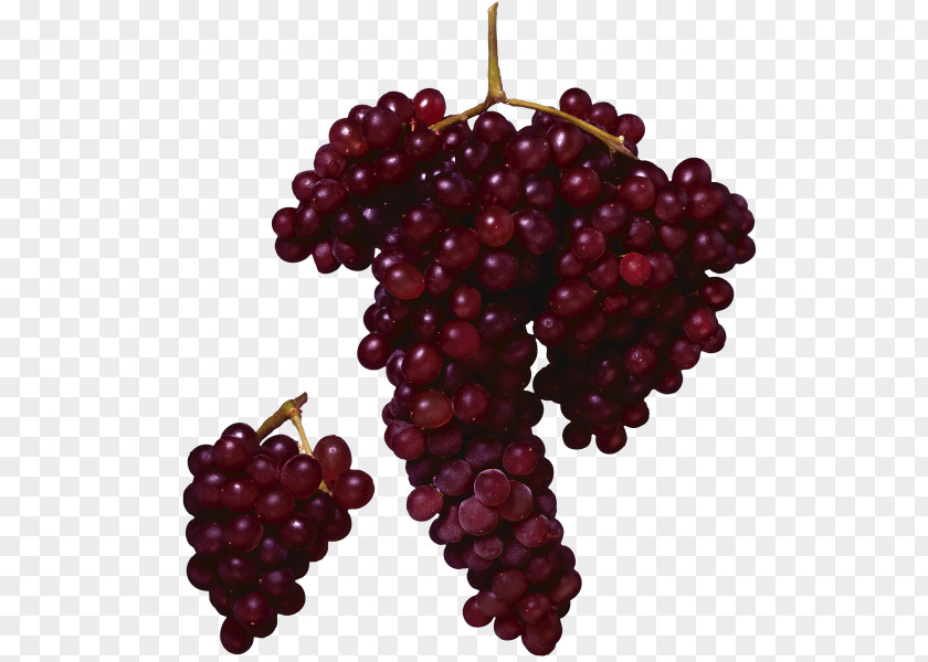 Grape Merlot Wine Juice Fruit PNG