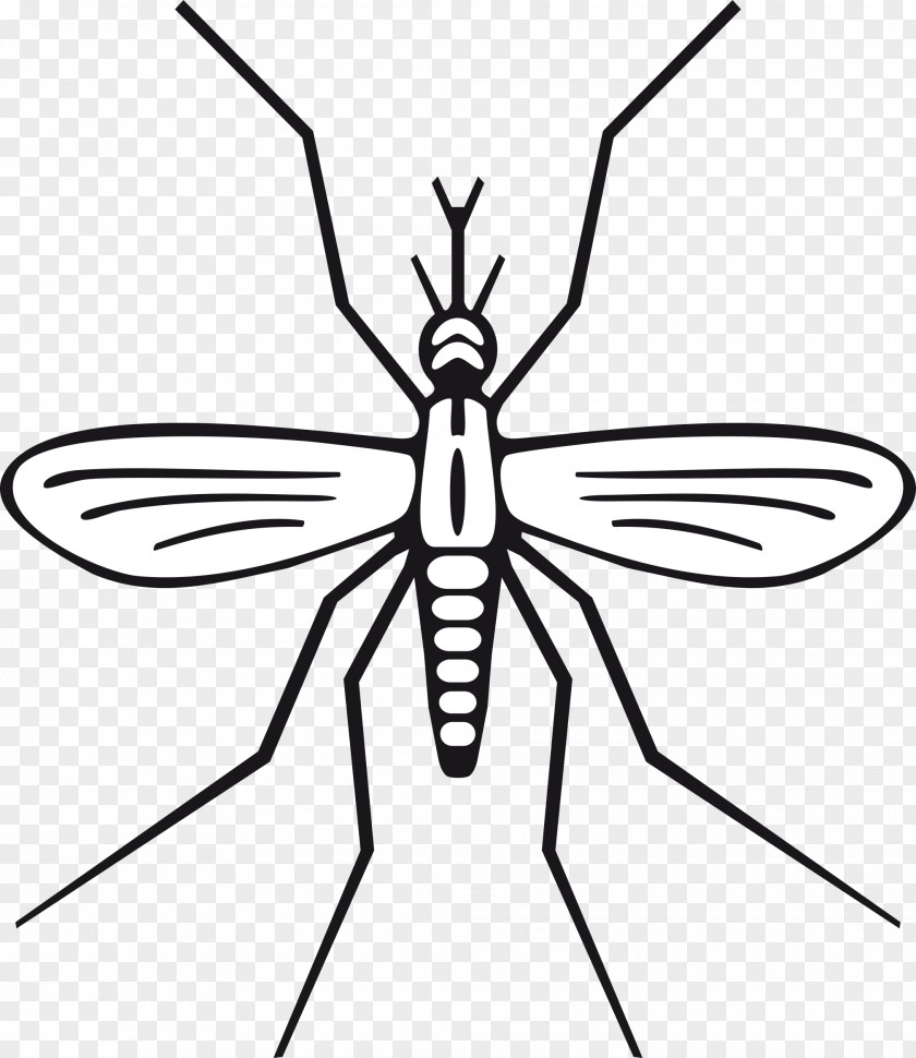 Mosquito Insect Black And White Clip Art PNG