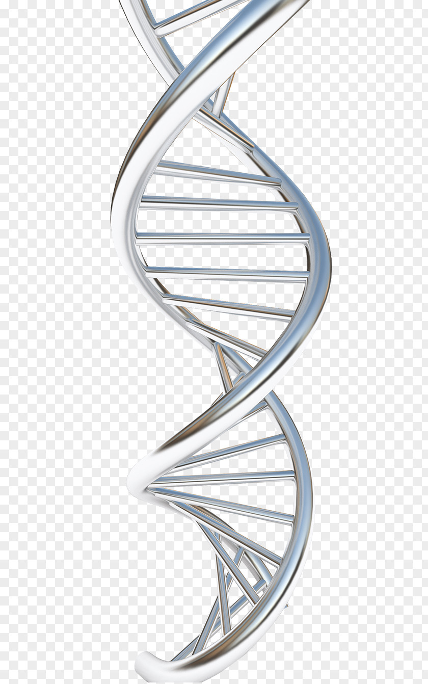 Nucleic Acid Structure DNA Molecular Of Acids: A For Deoxyribose Drawing Genetic Recombination PNG