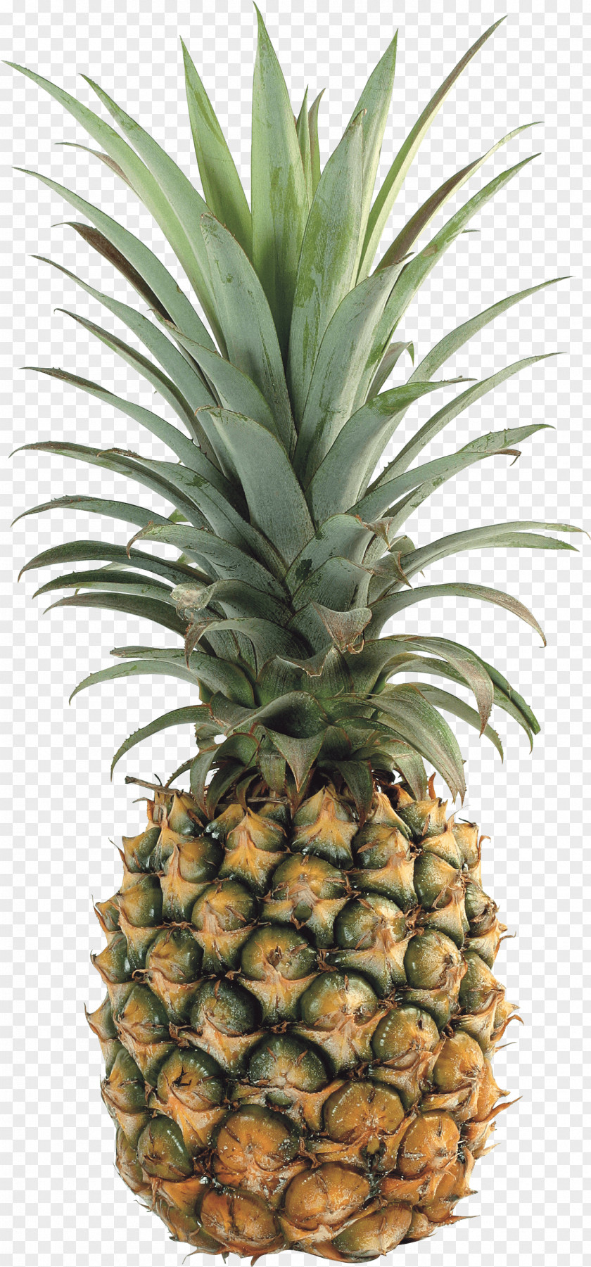 Pineapple Image Download Upside-down Cake Tropical Fruit PNG