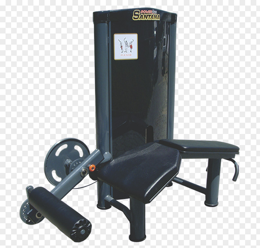 Power Line Weightlifting Machine CrossFit Fitness Centre Physical PNG