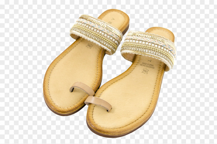 Sandal Shoe PNG