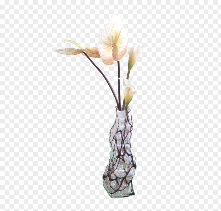 Vase Illustration PNG