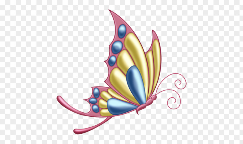 A Butterfly Clip Art PNG