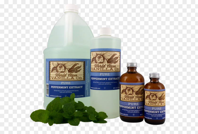 Bottles Paste Peppermint Extract Vanilla Anise PNG
