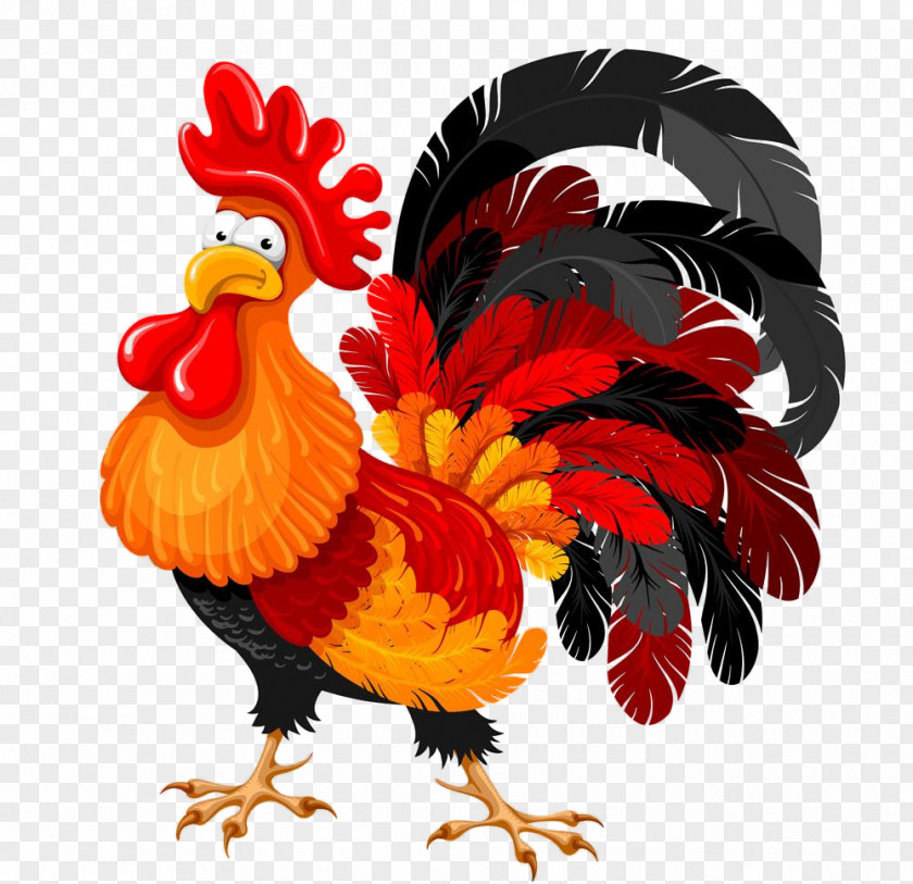 Chicken Rooster Bird Comb Livestock PNG