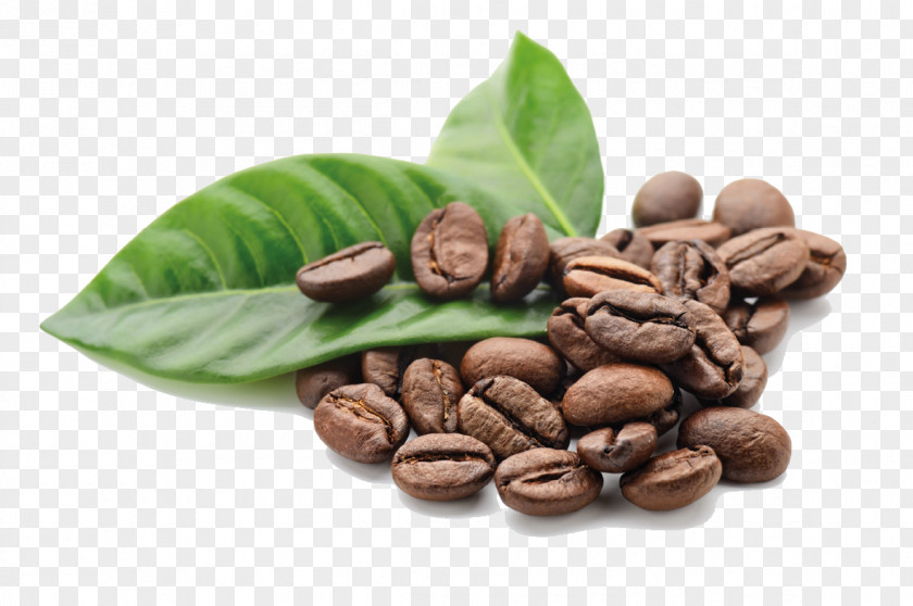Coffee Chocolate-covered Bean Cafe Espresso Kona PNG