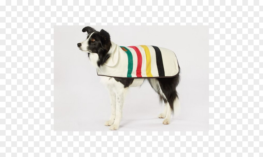 Dog Breed Glacier National Park Coat Clothing PNG