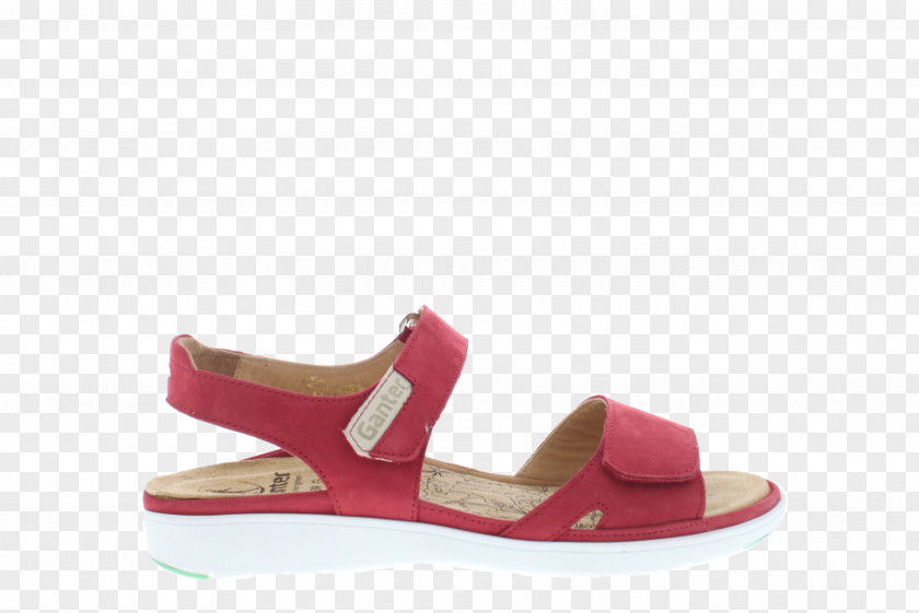 Sandal Suede PNG