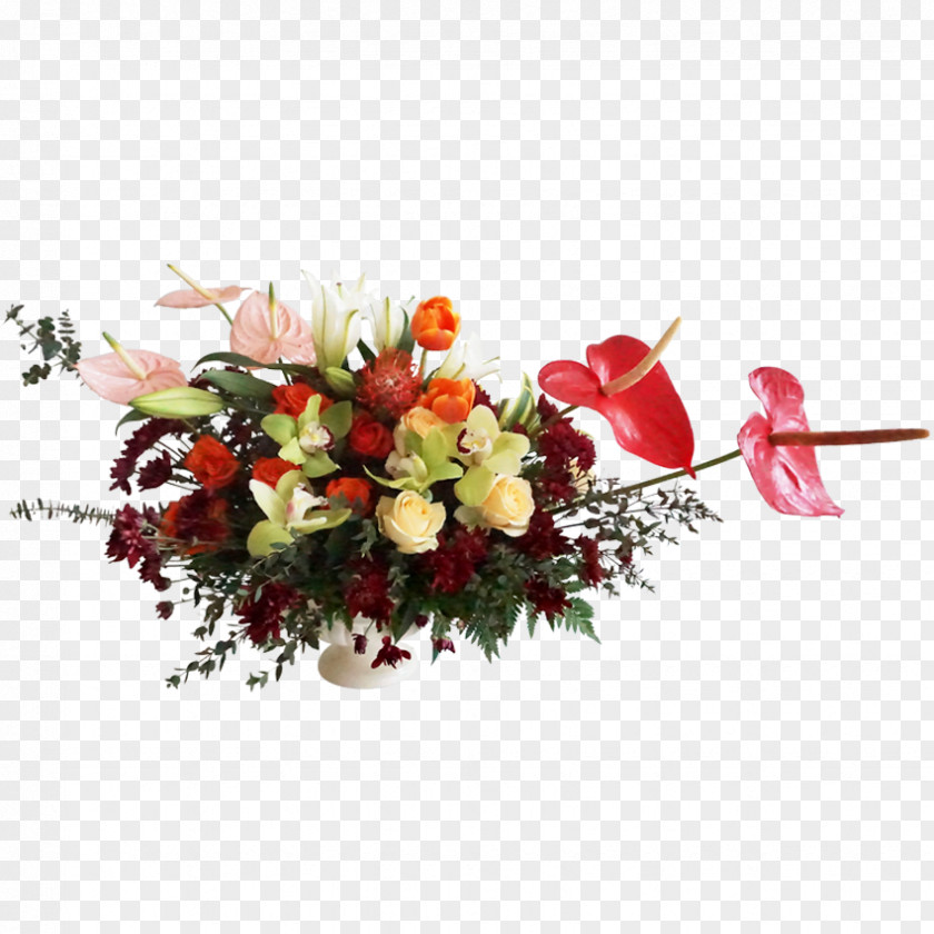 Tulip Material Floral Design Eco|stems Cut Flowers Flower Bouquet PNG