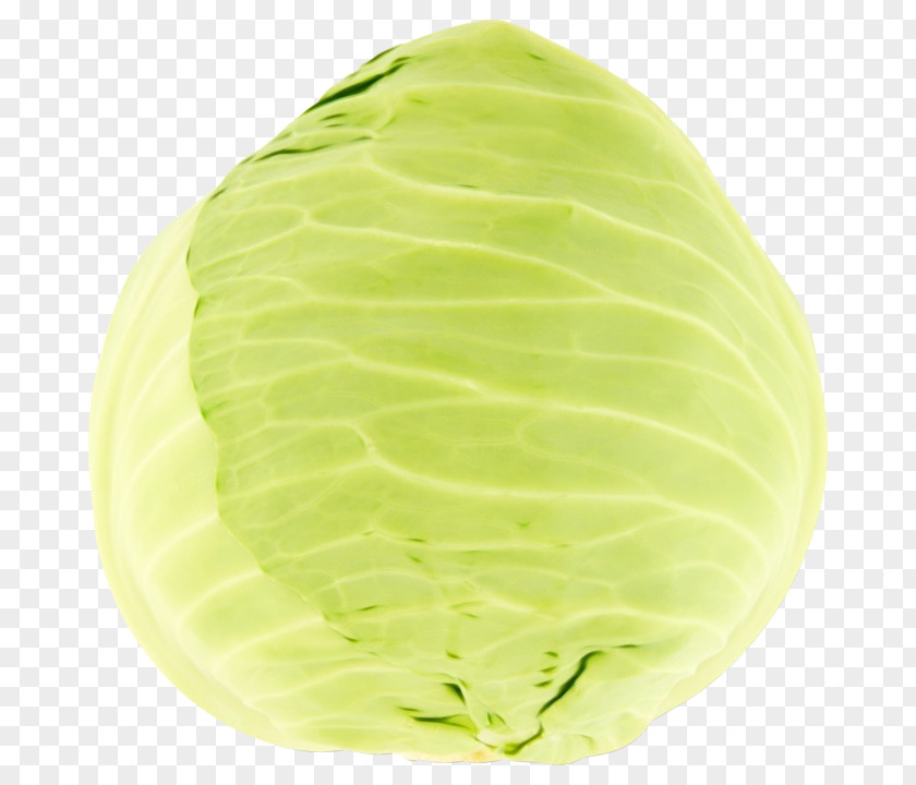 Vegetable Leaf Cabbage Green Wild Lettuce PNG