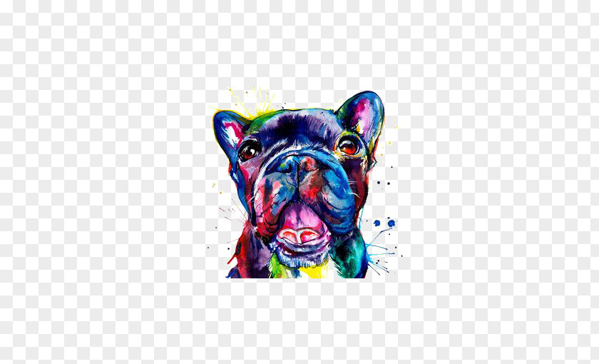 Watercolor Bulldog French Pug Drawing Painting PNG