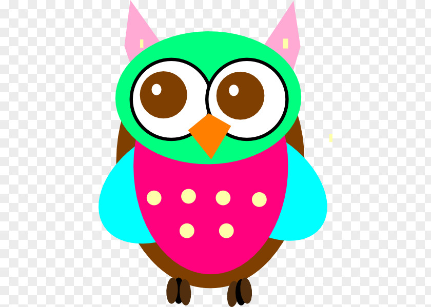 Baby Owl Clipart Owls Cartoon Drawing Clip Art PNG