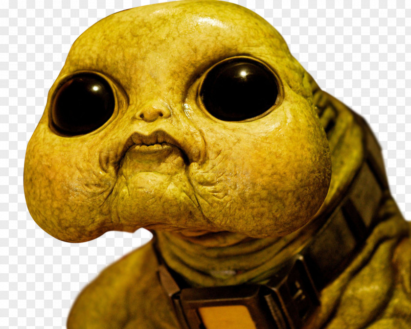 Doctor Ninth Slitheen YouTube Rose Tyler PNG