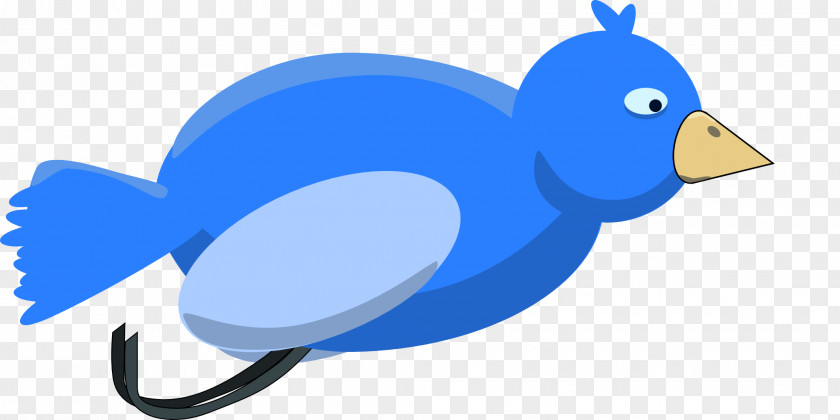 Duck Flightless Bird Cobalt Blue Clip Art PNG