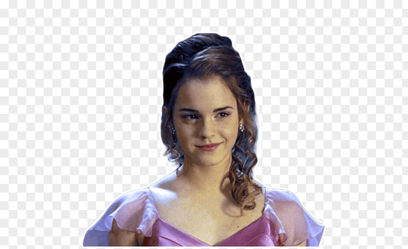 Emma Watson Hermione Granger Harry Potter And The Philosopher's Stone Ron Weasley PNG