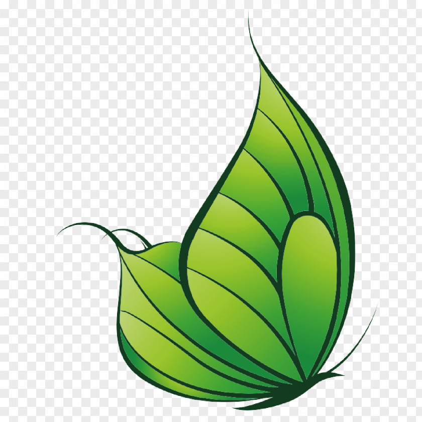 Green Leaf Vector Butterfly Decoration PNG
