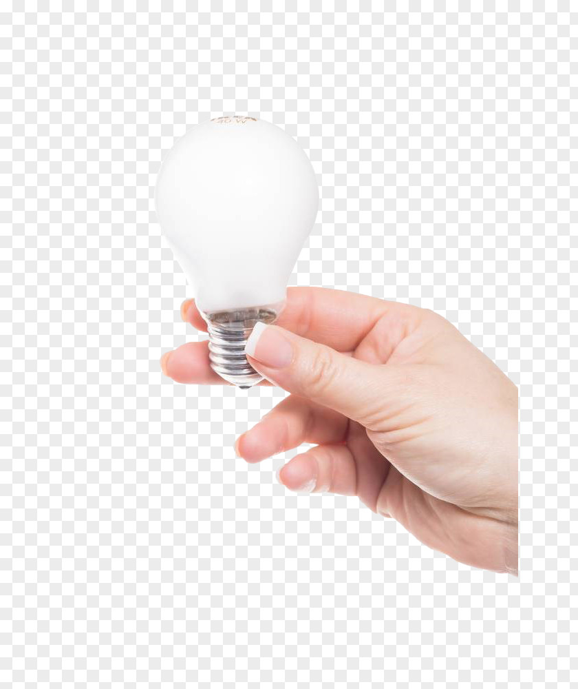 Holding The Light Bulb Incandescent Computer File PNG